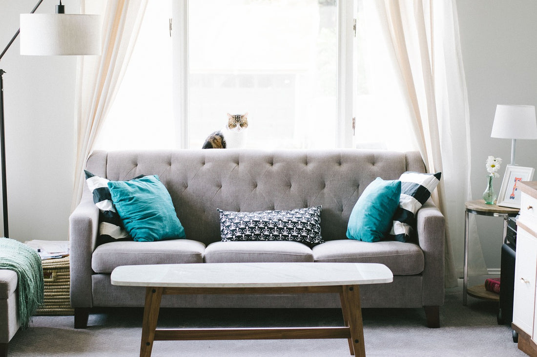 How to Stage Your Home for a Quick Sale in Halifax or Dartmouth